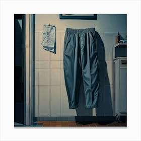 Pair Of Pants Canvas Print