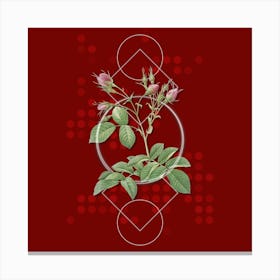 Vintage Evrat's Rose with Crimson Buds Botanical with Geometric Line Motif and Dot Pattern n.0024 Canvas Print