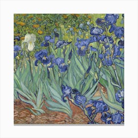 Van Gogh ,Irises Canvas Print