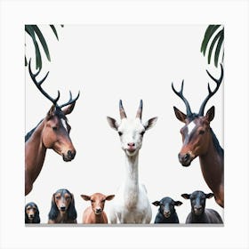 Group Of Goats Canvas Print