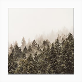 Modern Forest Square Canvas Print