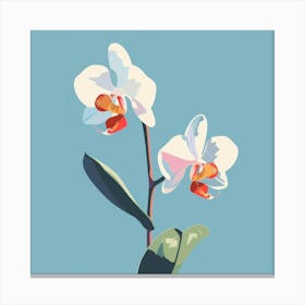 Orchids 1 Canvas Print