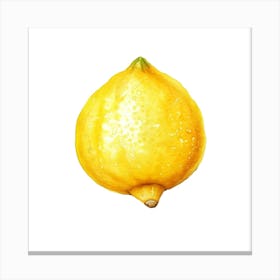 Lemon Watercolor Illustration Canvas Print