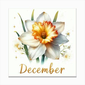 Paperwhites - December Birth Flower Canvas Print