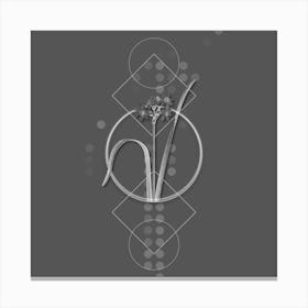 Vintage Cowslip Cupped Daffodil Botanical with Line Motif and Dot Pattern in Ghost Gray n.0090 Canvas Print