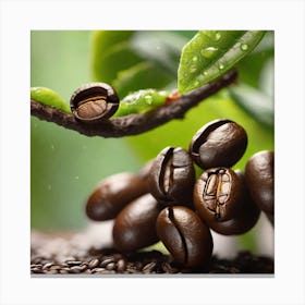 Coffee Beans On A Branch 6 Canvas Print