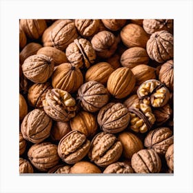 Walnuts 7 Canvas Print