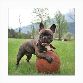 French Bulldog Playing Basketball Canvas Print