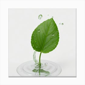 Water Drop On A Leaf Canvas Print