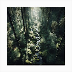 Stream In The Forest Canvas Print