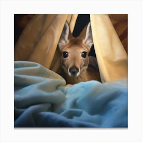 Kangaroo Canvas Print