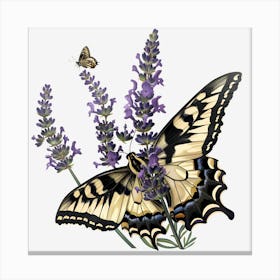 Butterfly On Lavender Canvas Print