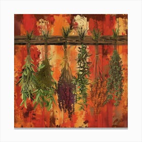 Hanging Herbs Canvas Print