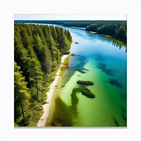 Forest Water Nature Tree Copy Space Creek Summer Sand Aerial Moss Clear Sky Vacation Sun (4) Canvas Print