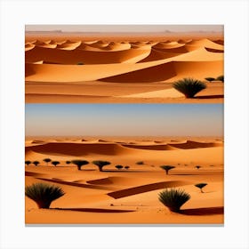Sahara Desert 62 Canvas Print