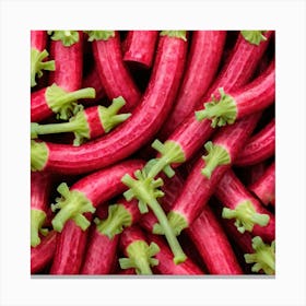 Rhubarb 9 Canvas Print