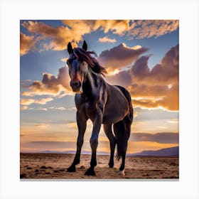 Sunset Horse Canvas Print