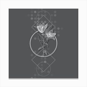 Vintage Orange Bulbous Lily Botanical with Line Motif and Dot Pattern in Ghost Gray n.0380 Canvas Print