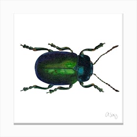 Emerald Beetle. 1 Canvas Print
