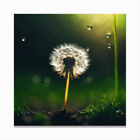 Green Grass and White Dandelion Canvas Print