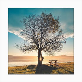 Sunset Tree 1 Canvas Print