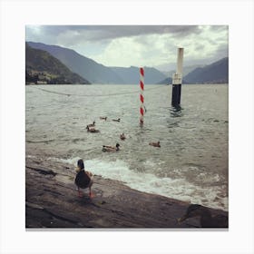 Ducks at Varenna, Como, Italy Canvas Print