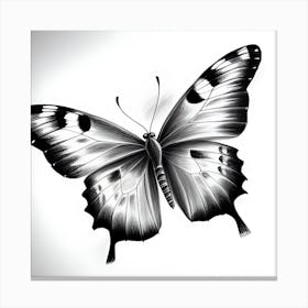 Butterfly In Black And White 1 Canvas Print