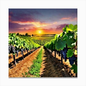 Sunset In The Vineyard 5 Canvas Print