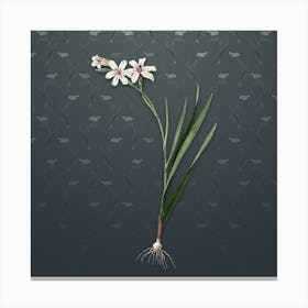 Vintage Gladiolus Botanical on Slate Gray Pattern n.0319 Canvas Print