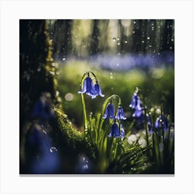 Through the Trees, Woodland Bluebells in Spring Rain Canvas Print