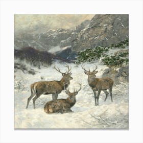 Deer In The Snow Canvas Print