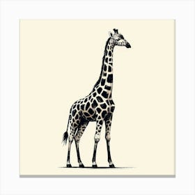 Illustration Giraffe Canvas Print