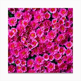 Pink Flowers 1 Canvas Print