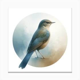 Bluebird Canvas Print