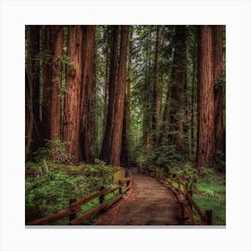 Redwood Forest Canvas Print