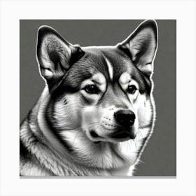 Husky 1 Canvas Print