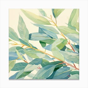 Eucalyptus 1 Canvas Print