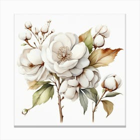 Cotton Flower branch 2 Canvas Print