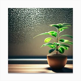 Plant In A Pot 1 Canvas Print