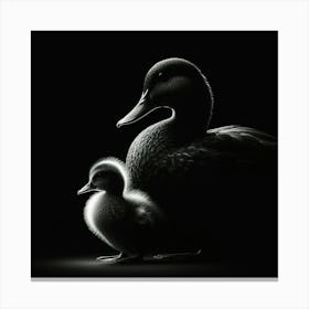 Duck And Duckling 1 Canvas Print