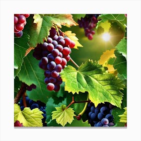 Grapes On The Vine 49 Canvas Print