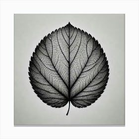 Black Leaf Canvas Print