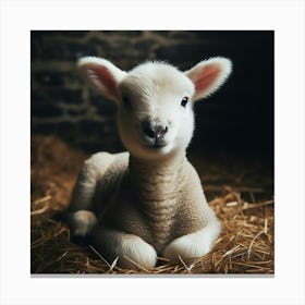 Baby Lamb In Hay Canvas Print