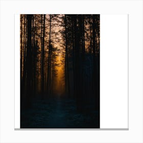 Sunrise In The Forest 5 Canvas Print