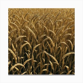 Golden Wheat Field 1 Canvas Print