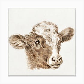 Head Of A Cow 2, Jean Bernard Canvas Print