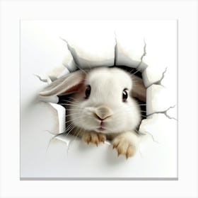Rabbit Peeking Through A Hole 6 Canvas Print