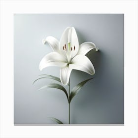 White Lily 4 Canvas Print