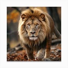 Lion Walking In The Forest Canvas Print