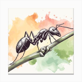Ant On The Stem Canvas Print